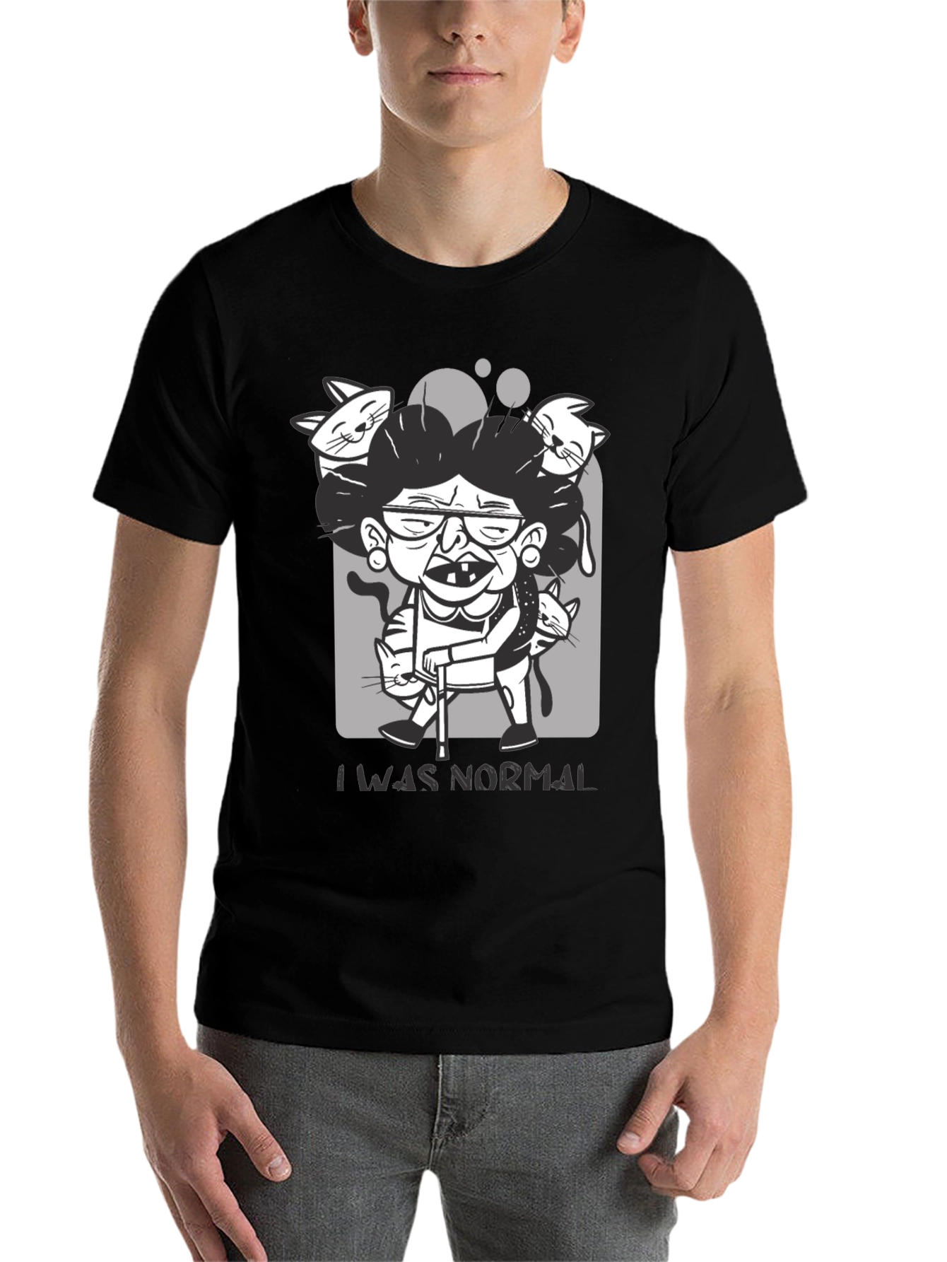 Crazy Cat Lady T-Shirt - I Was Normal