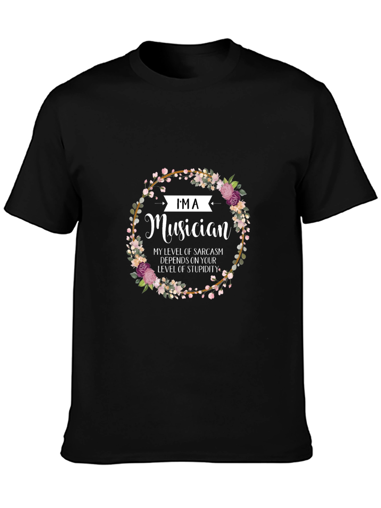 Im a Musician Sarcasm T-Shirt
