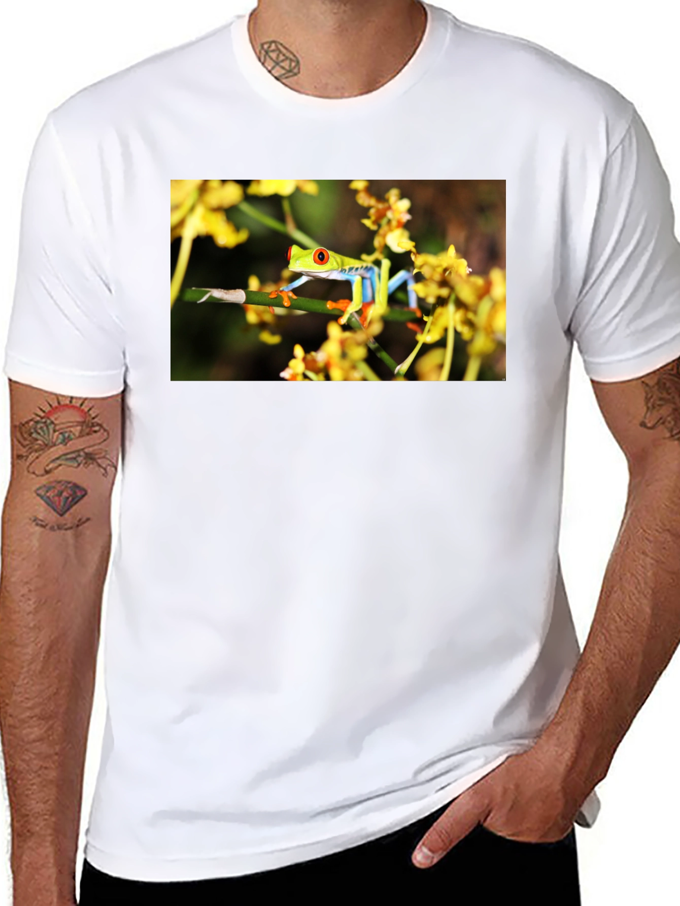 Red Eyed Tree Frog Graphic T-Shirt