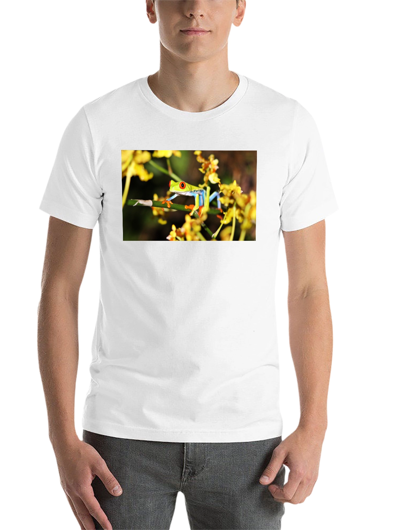 Red Eyed Tree Frog Graphic T-Shirt