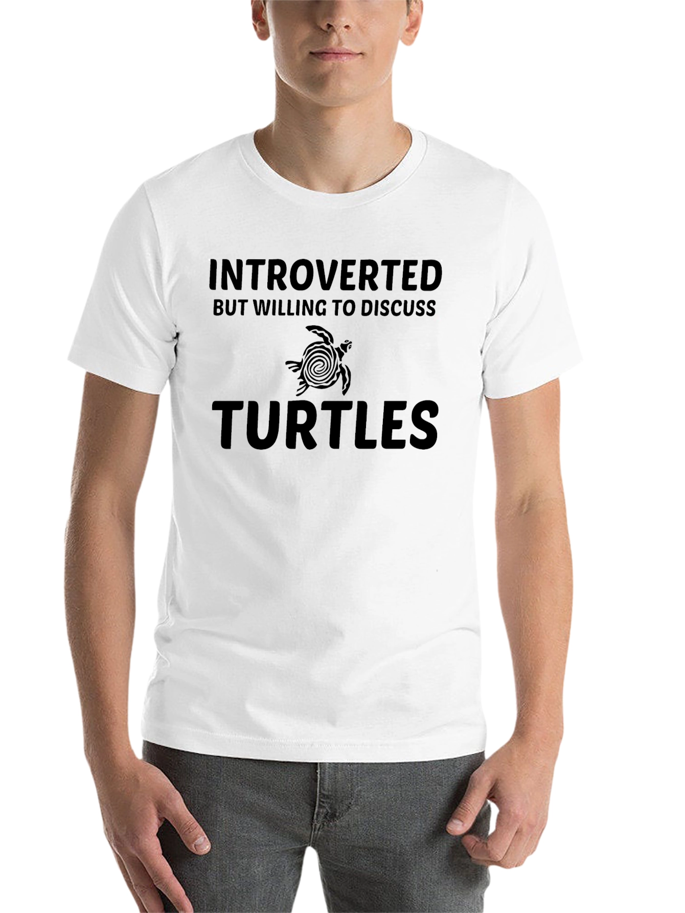 Introverted Turtles Graphic T-Shirt